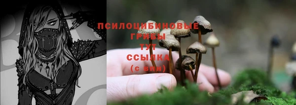 Альфа ПВП Абинск