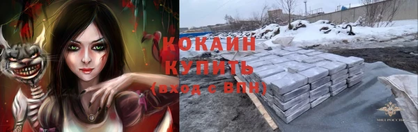 дживик Алзамай